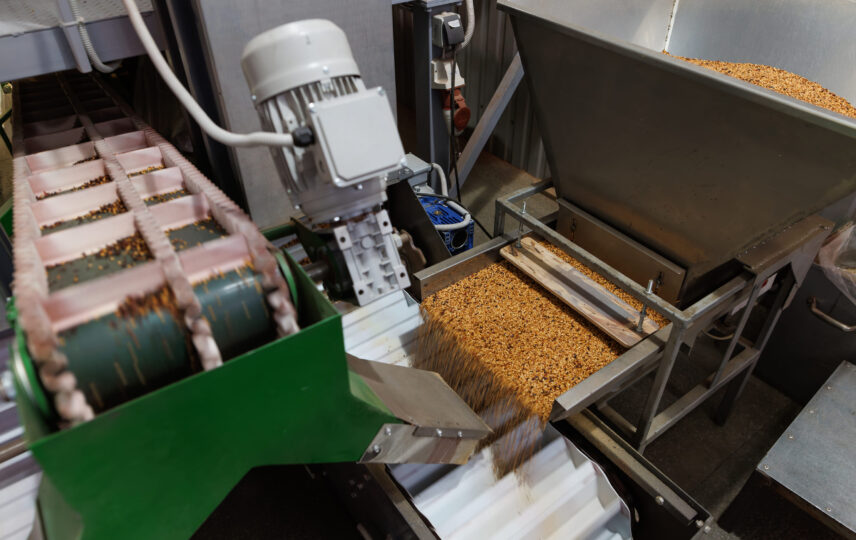 Linha industrial de separação de grãos com esteira e sistema automatizado, comum em processos com válvula filtro manga para controle de poeira